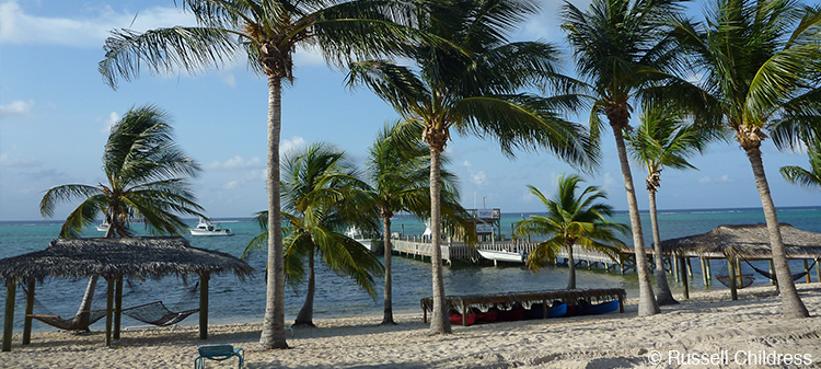 The Digital Shootout Diving/Resort Information