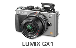 Lumix GX1 Underwater Review