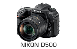 Nikon D500 Underwater Camera