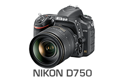 Nikon D750 Underwater Camera