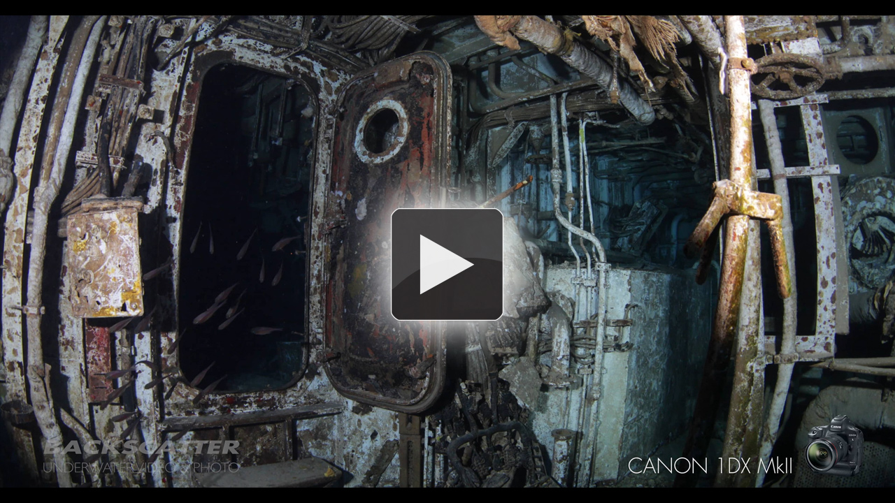 Canon 1DX MKII - Video by Berkley White