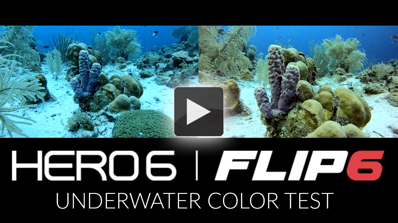 GoPro Hero6 & FLIP 6 Underwater GoPro Filters at the 2018 Digital Shootout