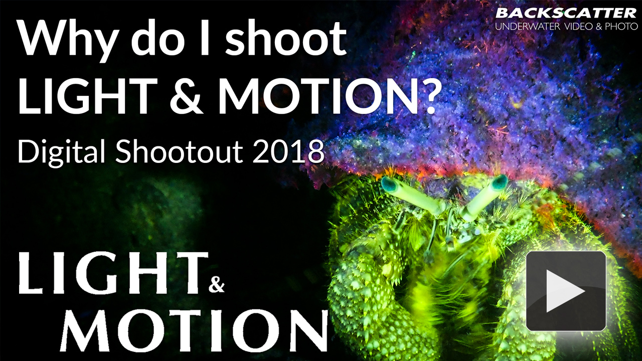 Why do I shoot Light and Motion?