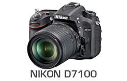 Nikon D7100 Underwater Review