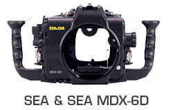 Sea & Sea MDX-6D