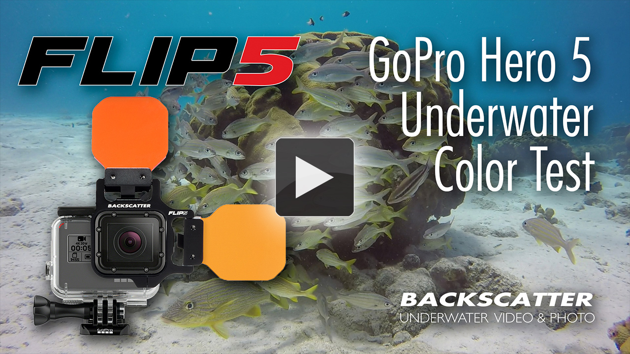 FLIP 5 Underwater GoPro Filters at the Digital Shootout