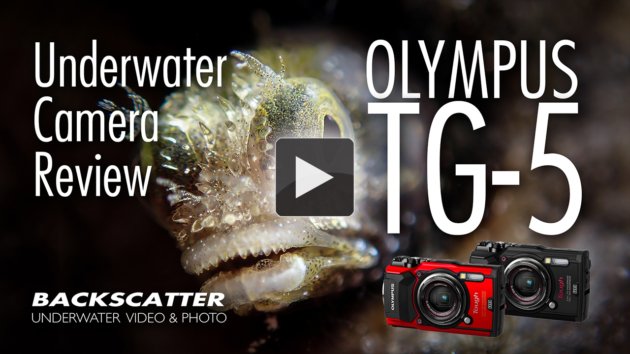 Olympus Tough TG-5 at the Digital Shootout