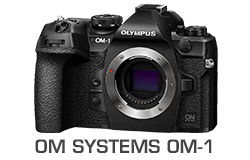 Olympus OM-D OM-1 Camera Underwater Review
