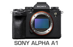 Sony Alpha A1 Camera Underwater Review