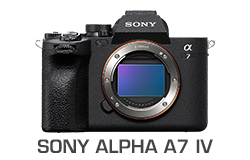 Sony Alpha A7 IV Camera Underwater Review