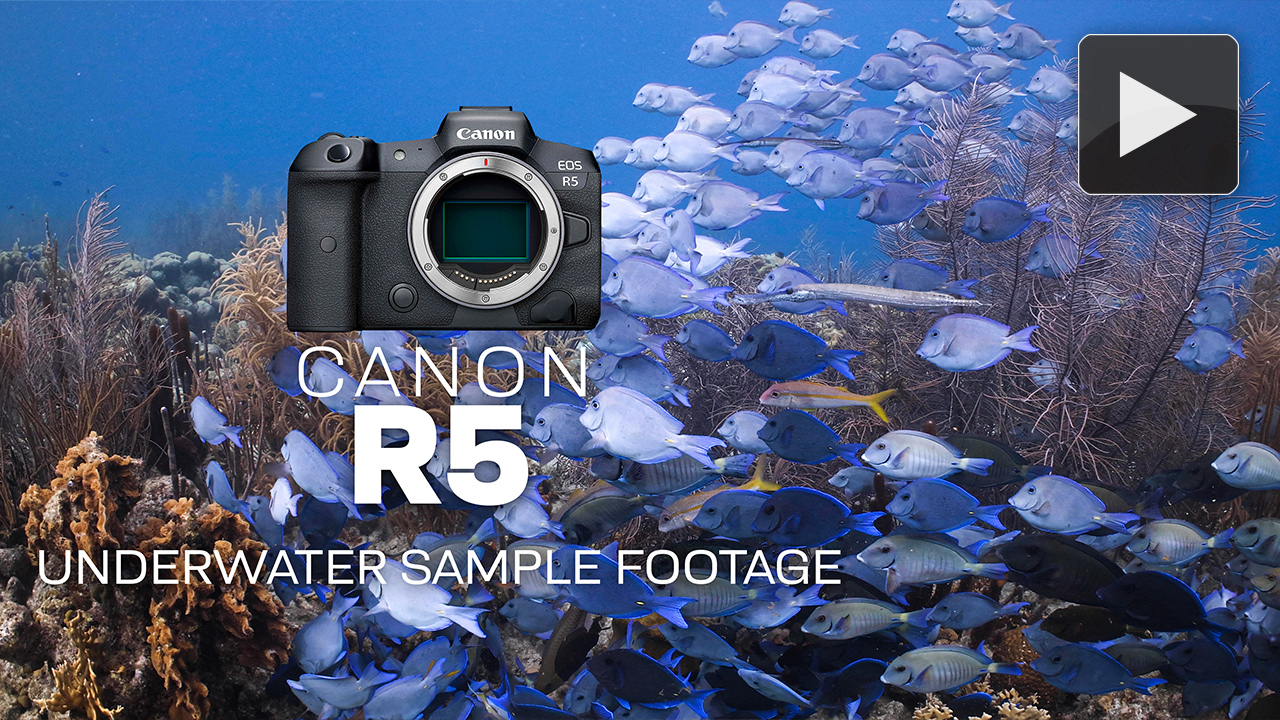 Canon R5C Test Footage at the Digital Shootout