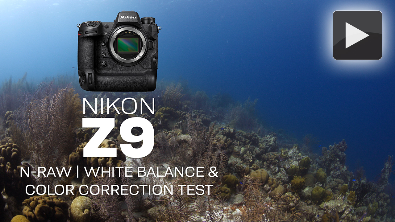 Nikon Z9 White Balance Test Footage at the Digital Shootout