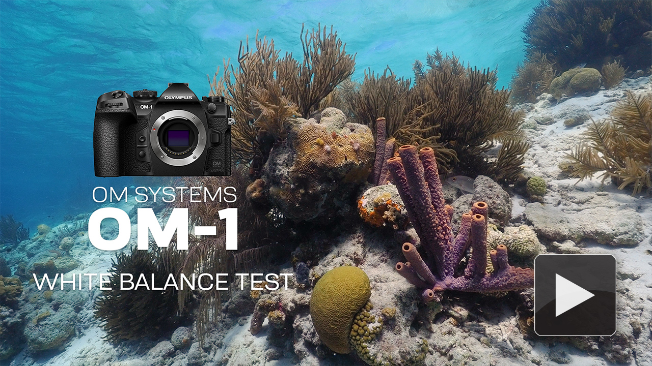OM Systems OM-1 White Balance Test Footage at the Digital Shootout