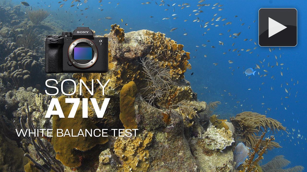 Sony A7IV White Balance Test Footage at the Digital Shootout