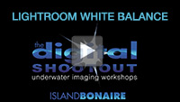 Lightroom White Balance