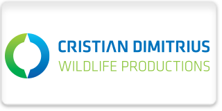 Cristian Dimitrius Productions