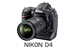 Nikon D4 Digital Camera