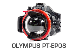 Olympus OM-D Underwater Review - The Digital Shootout