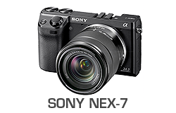 Sony Nex-7 Underwater Review