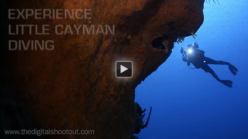 Experience Little Cayman Diving - Video by Joel Penner