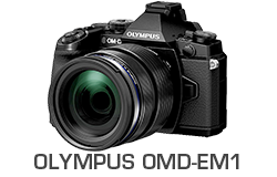 Olympus OMD-EM1 Underwater Review