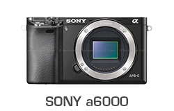 Sony a6000 Underwater Review