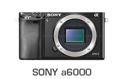 Sony a6000 Camera