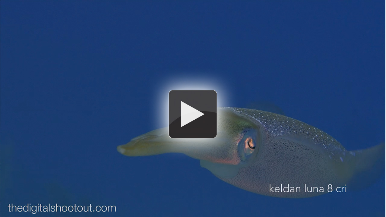 Keldan Video Lighting Test - by Chris Parsons