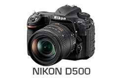 Nikon D810 Review