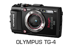 Olympus TG4 Underwater Review