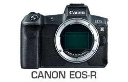 Canon EOS-R Camera Underwater Review