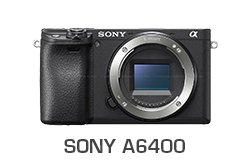 Sony a6400 Underwater Review
