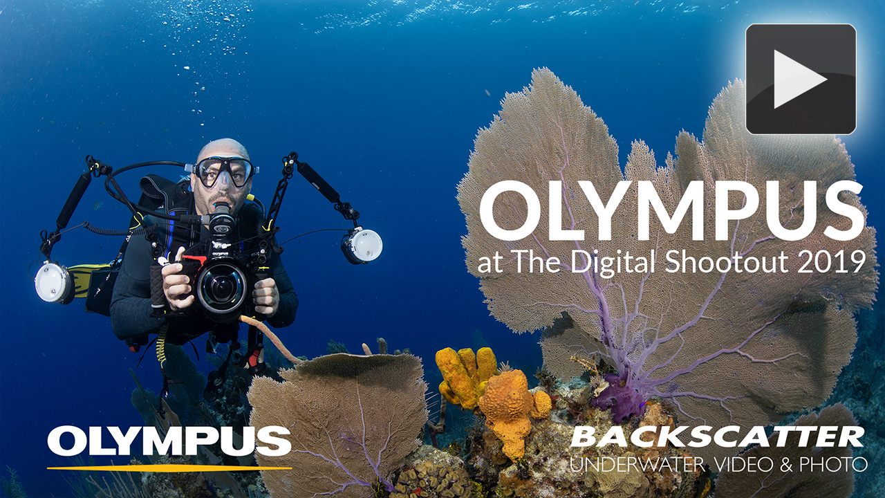 Olympus Manufacturer