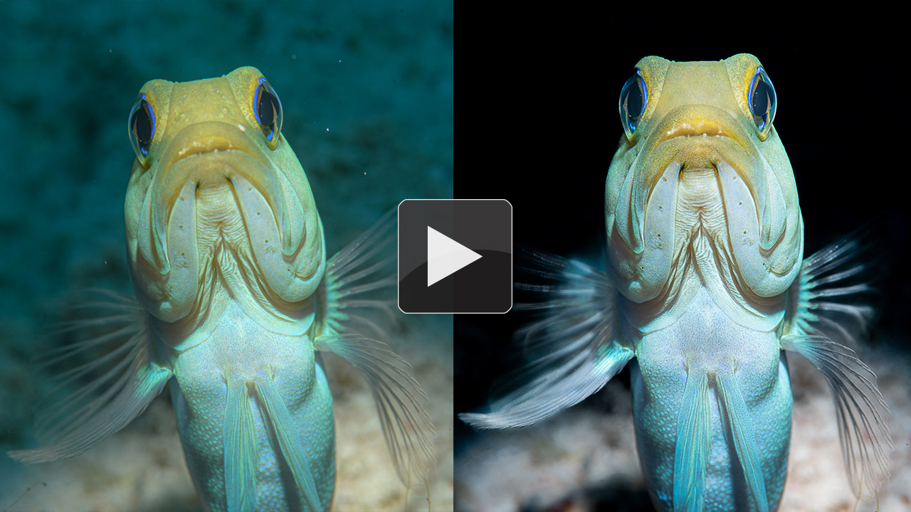GoAskErin Before and After