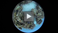 Video of the Day