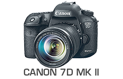 Canon 7D Mark II Underwater Review