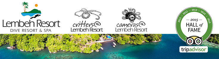 Lembeh Resort