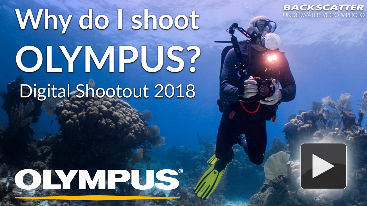 Why do I shoot Olympus?